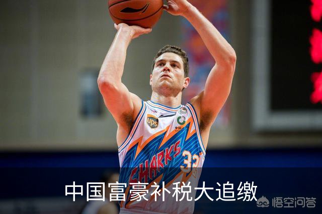 中国富豪补税大追缴