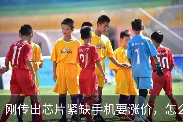 刚传出芯片紧缺手机要涨价，怎么转眼又集体大降价？这是要干啥？