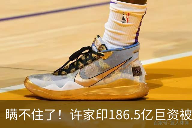 瞒不住了！许家印186.5亿巨资被挖出，不是转给了丁玉梅，却是他