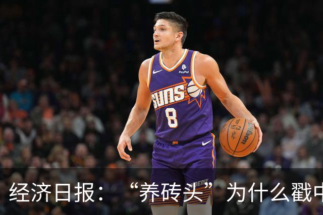 经济日报：“养砖头”为什么戳中年轻人？