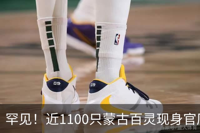 罕见！近1100只蒙古百灵现身官厅水库
