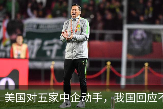 美国对五家中企动手，我国回应不一般，鲁比奥向我国喊话了？