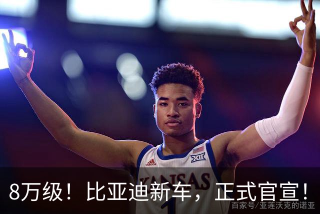 8万级！比亚迪新车，正式官宣！