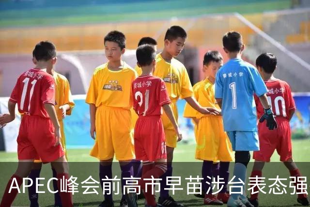APEC峰会前高市早苗涉台表态强硬，政治算计难掩内外交困现实